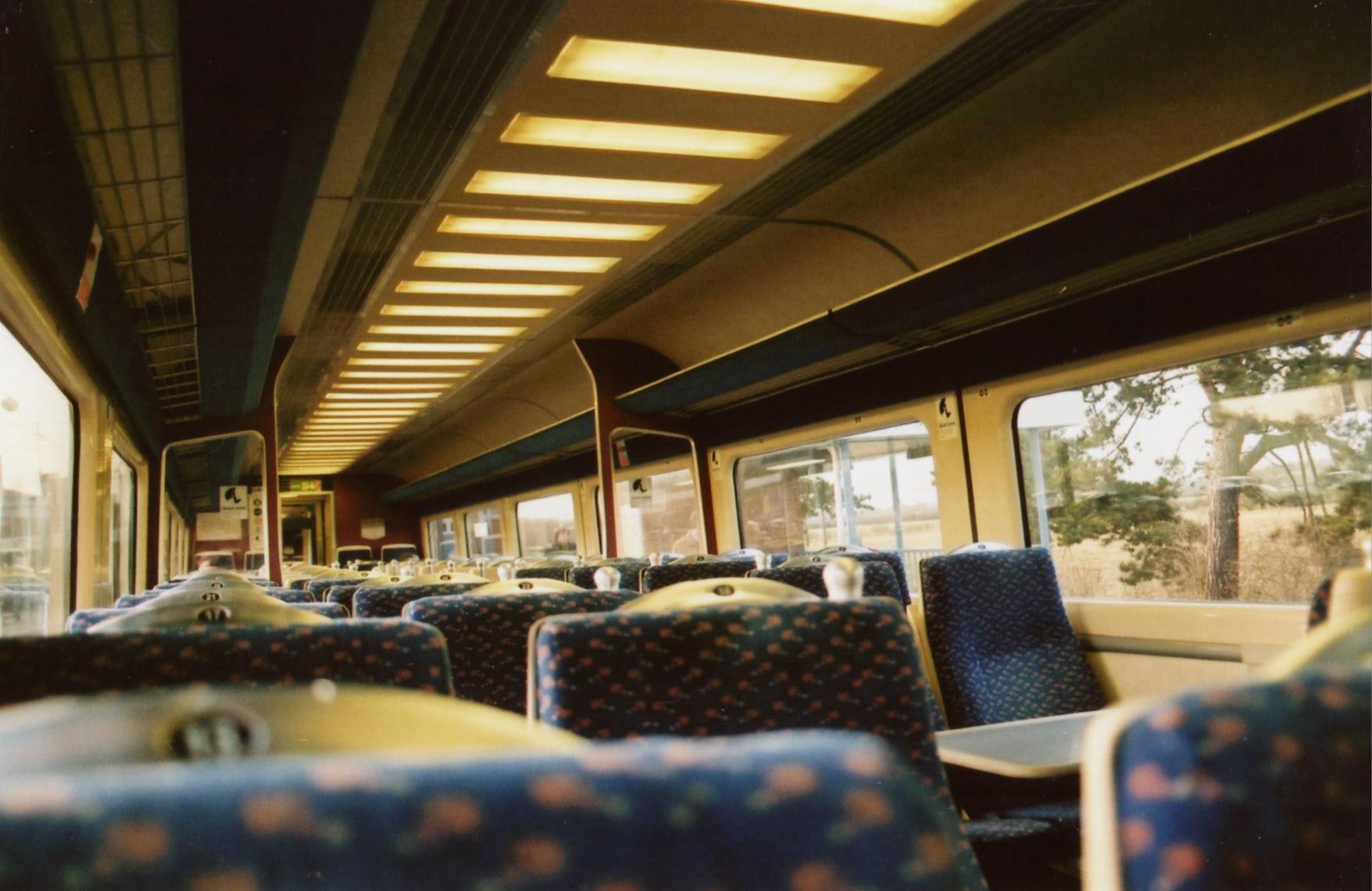 12035 INTERIOR (M'TREE) 12-11