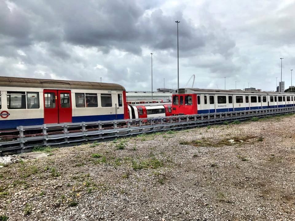 D STOCK RAT (NEASDEN) 7-9-17 (JUSTIN MARQUIS)