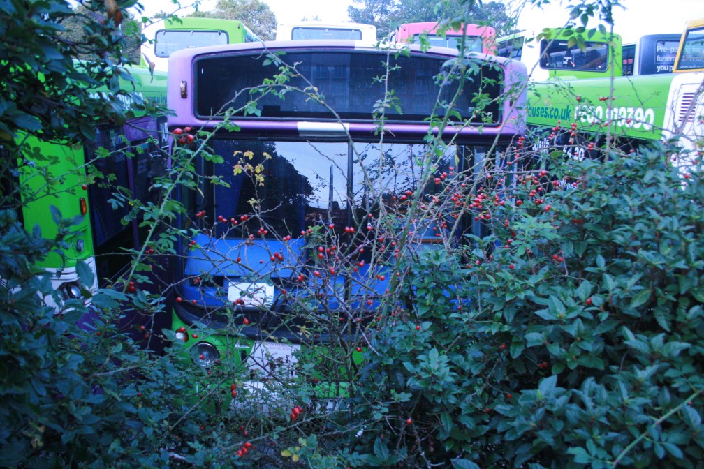 Y273FJN 141 IB withdrawn 24-9-17