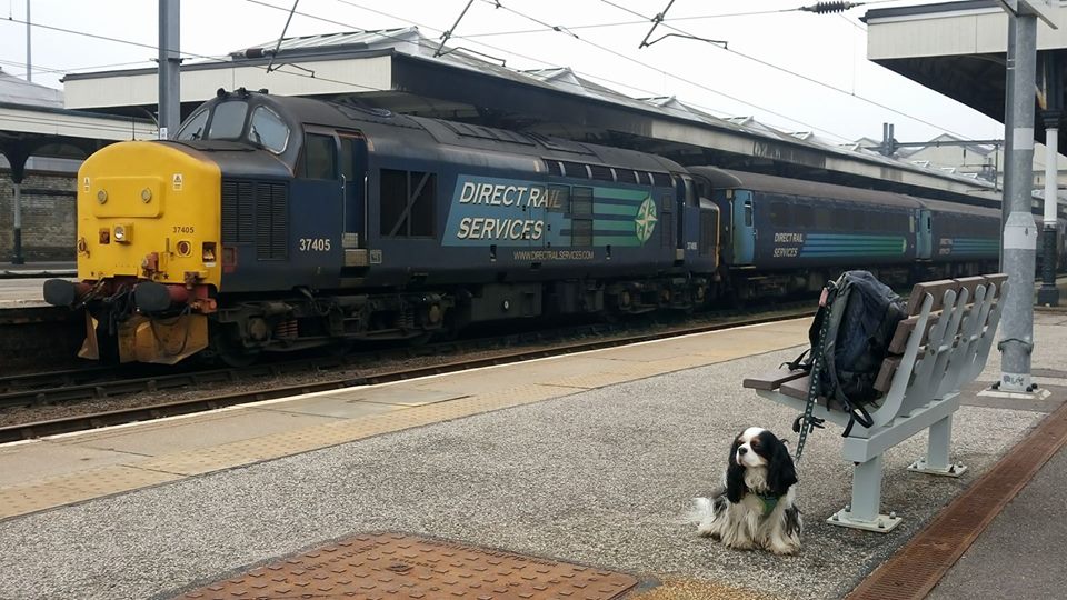 37405 DRS 9GT YARMOUTH) 11-4-18 (STEVE SIMISTER)