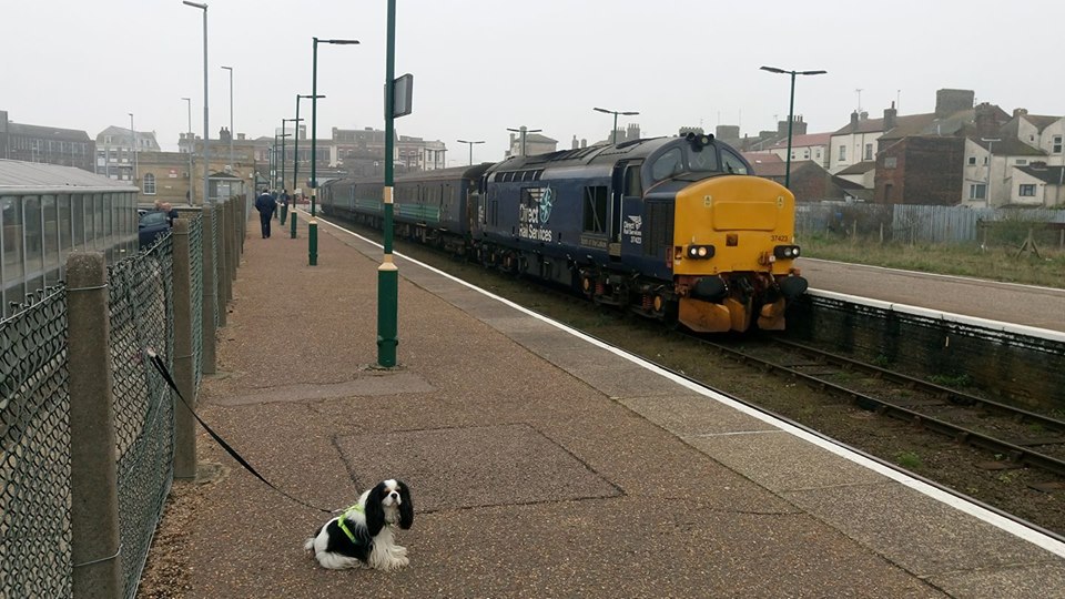 37423 DRS (LOWESTOFT) 11-4-18 (STEVE SIMISTER)
