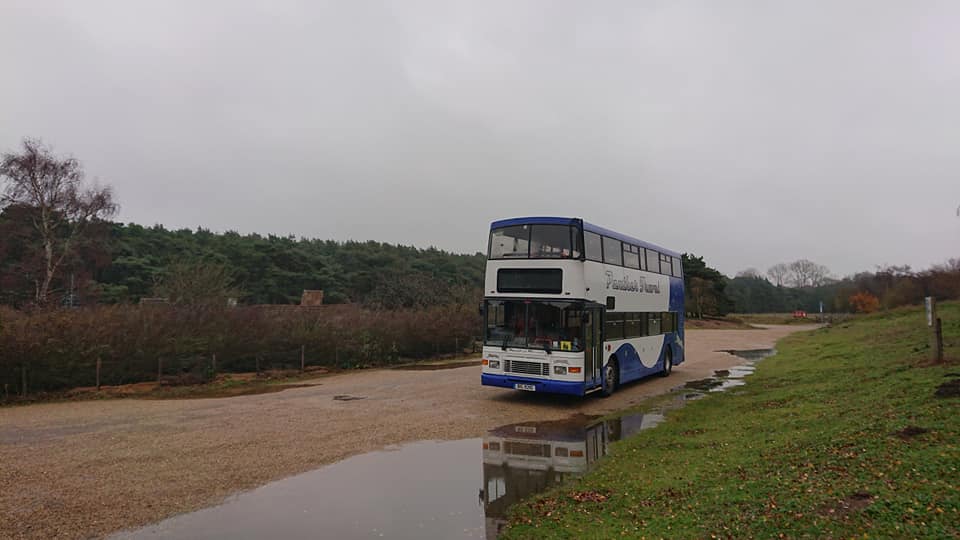 BIG9210 PANTHER (WEST STOW ANGLO SAXON VILLAGE) 11-18 (A HAZELL)