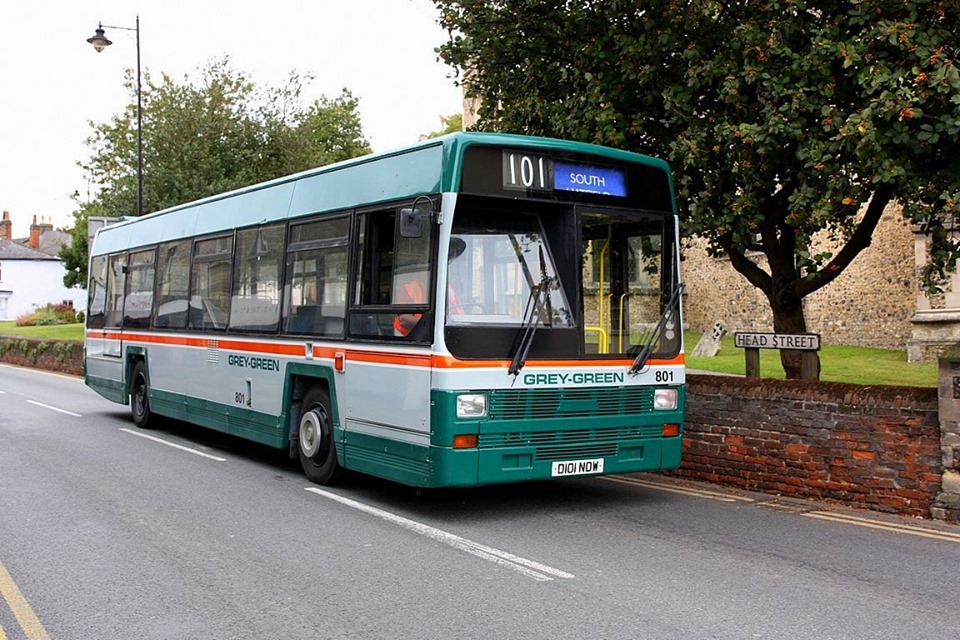 D101NDW 101 GREY GREEN LYNX PRESERVED (HD) 10-9-19 (C BAINES)
