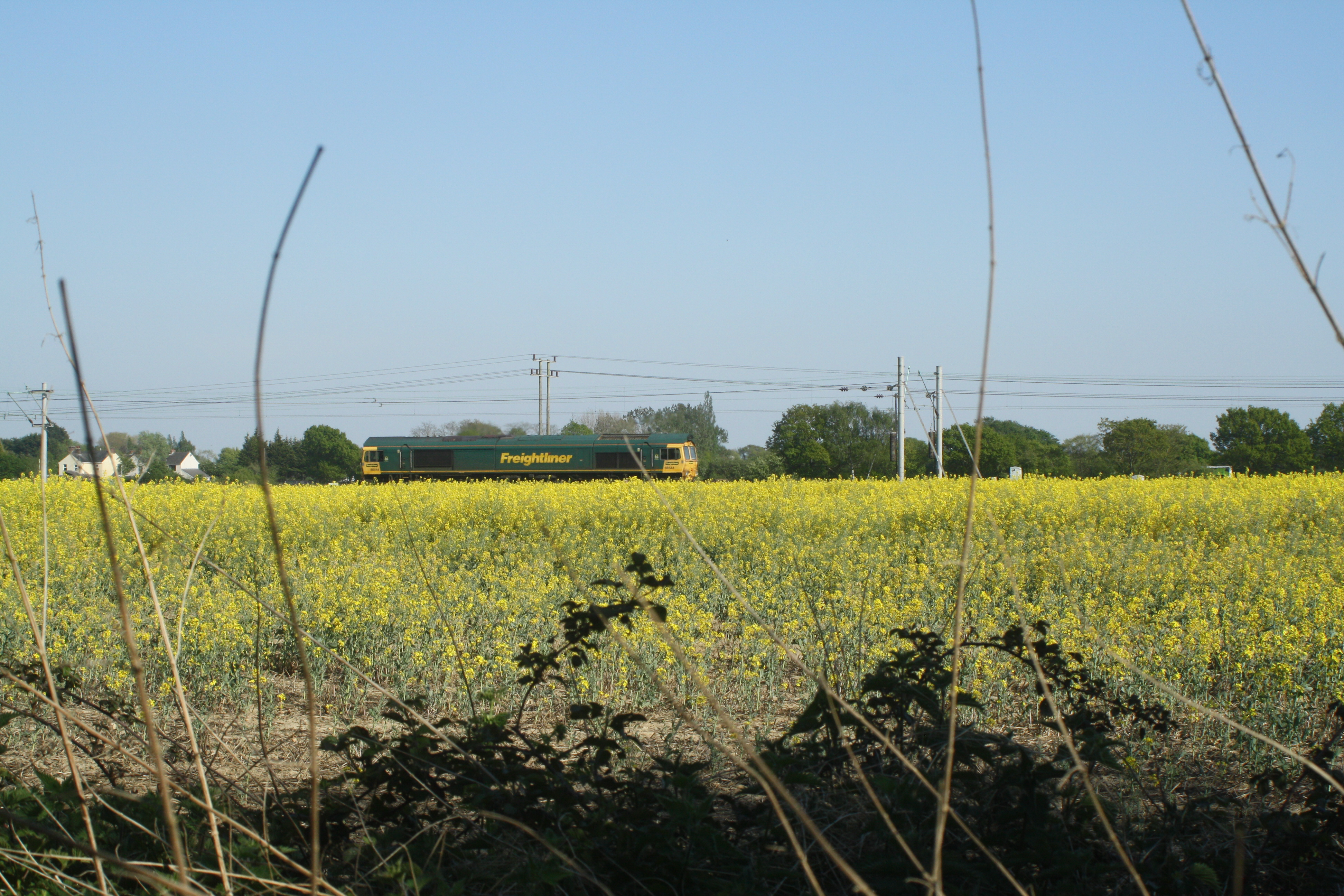 66544 FL (MT) 24-4-20