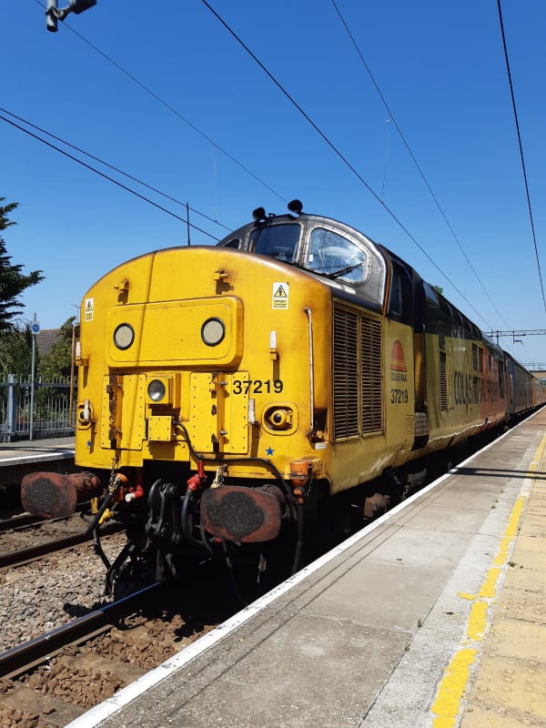 37219 COLAS (STANFORD) 24-6-20 (JAMES COLE)