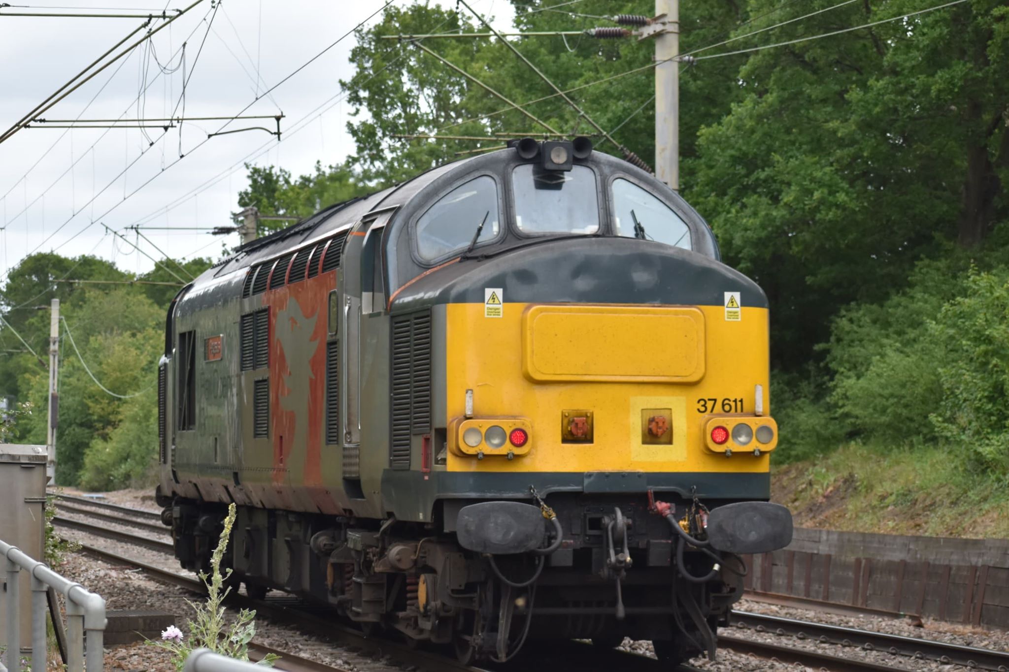 37611 ROG (CHITTS HILL) 6-20 (JOHN GREEN)